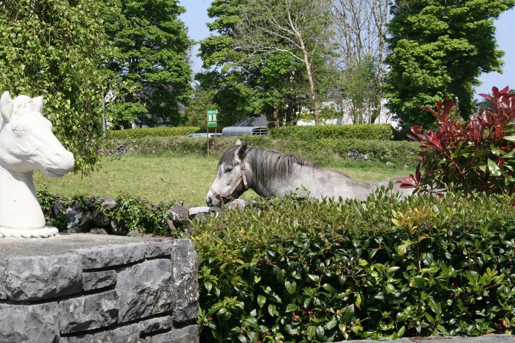 Carrowntober House B & B Oughterard Esterno foto